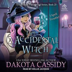 The Accidental Witch by Dakota Cassidy audiobook