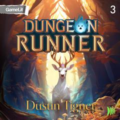 Dungeon Runner 3 by Dustin Tigner audiobook