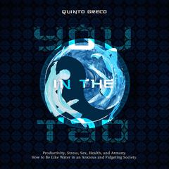 YOU IN THE TAO by Quinto Greco audiobook