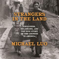Strangers in the Land by Michael Luo audiobook