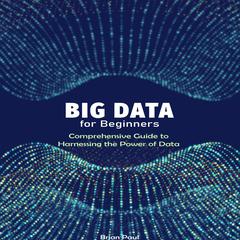 Big Data for Beginners by Brian Paul audiobook