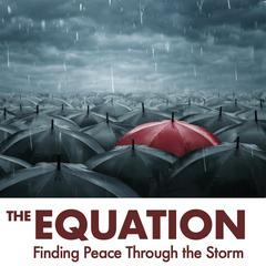 The Equation by Rob Laizure audiobook