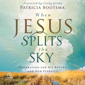 When Jesus Splits the Sky by  Patricia Bootsma audiobook