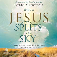 When Jesus Splits the Sky by Patricia Bootsma audiobook