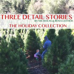 Three Detail Stories by Nicholas Leither audiobook