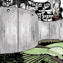 Emplaced Resistances in Occupied Palestine by Suzanne H. Hammad audiobook