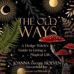 The Old Ways by Joanna van der Hoeven audiobook