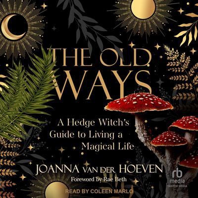 The Old Ways by Joanna van der Hoeven audiobook
