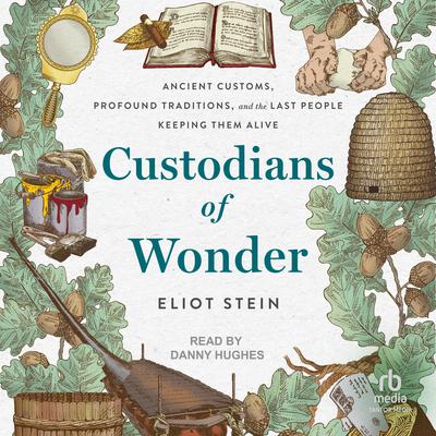 Custodians of Wonder by Eliot Stein audiobook