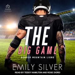 The Big Game by Emily Silver audiobook