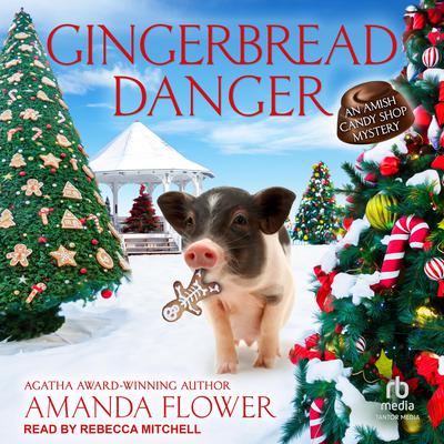 Gingerbread Danger by Amanda Flower audiobook