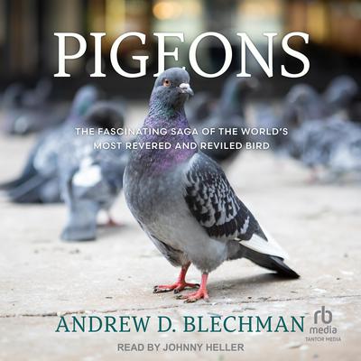 Pigeons by Andrew D. Blechman audiobook