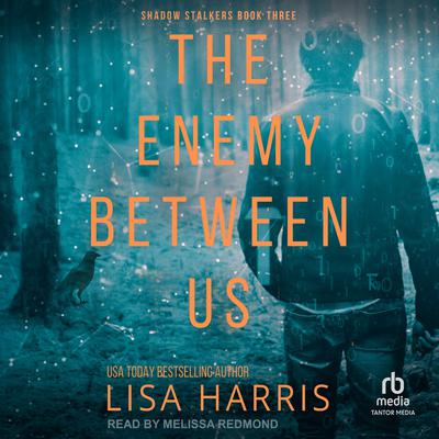 The Enemy Between Us by Lisa Harris audiobook