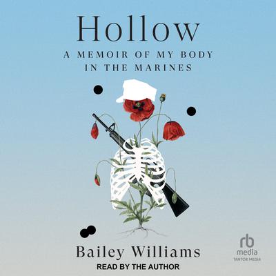 Hollow by Bailey Brett Williams audiobook
