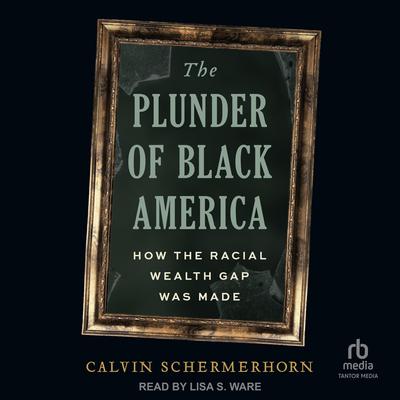 The Plunder of Black America by Calvin Schermerhorn audiobook