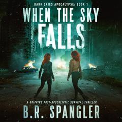 When the Sky Falls by B.R. Spangler audiobook