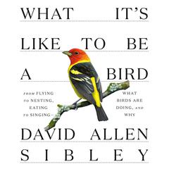 What It's Like to Be a Bird by David Allen Sibley audiobook