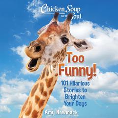 Chicken Soup for the Soul: Too Funny! by Amy Newmark audiobook
