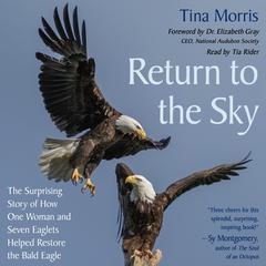 Return to the Sky by Tina Morris audiobook