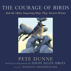 The Courage of Birds by Pete Dunne audiobook