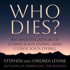 Who Dies? by Stephen Levine audiobook