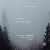 Disrupted Journey by  Nate Brooks audiobook