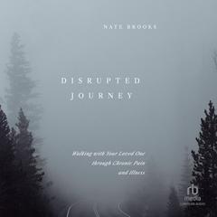 Disrupted Journey by Nate Brooks audiobook