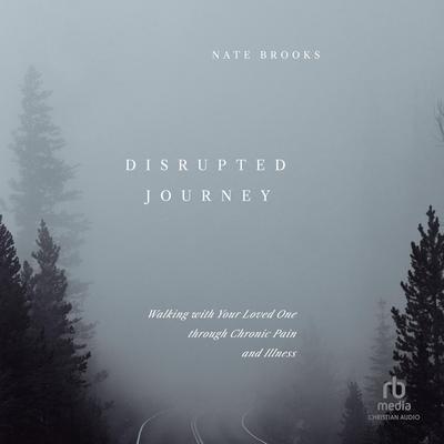 Disrupted Journey by Nate Brooks audiobook