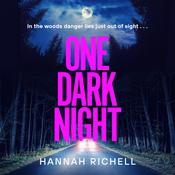 One Dark Night by  Hannah Richell audiobook