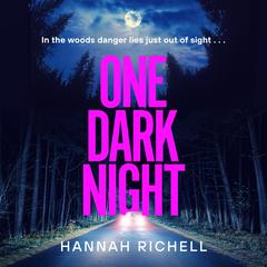 One Dark Night by Hannah Richell audiobook