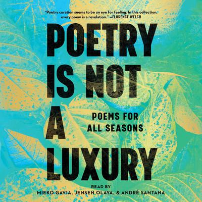 Poetry Is Not a Luxury by Anonymous audiobook