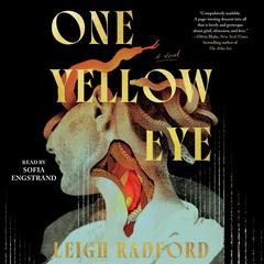 One Yellow Eye by Leigh Radford audiobook