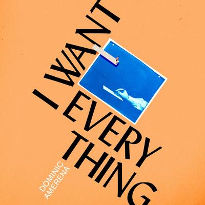 I Want Everything by Dominic Amerena audiobook