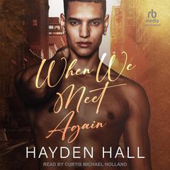 When We Meet Again by Hayden Hall audiobook