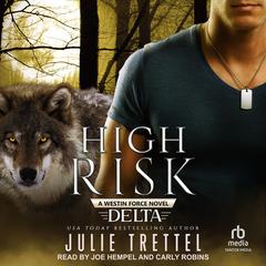 High Risk by Julie Trettel audiobook