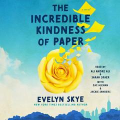 The Incredible Kindness of Paper by Evelyn Skye audiobook