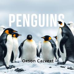 PENGUINS: Secrets to Thriving in Life's Wild Challenges by Orson Calvert audiobook