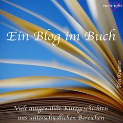 Ein Blog im Buch by Tobi Kraemer audiobook
