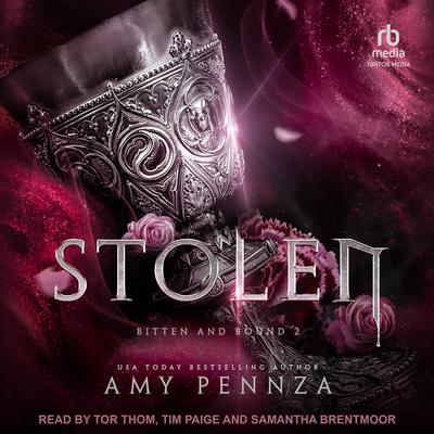 Stolen by Amy Pennza audiobook