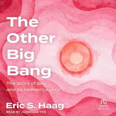 The Other Big Bang by Eric S. Haag audiobook