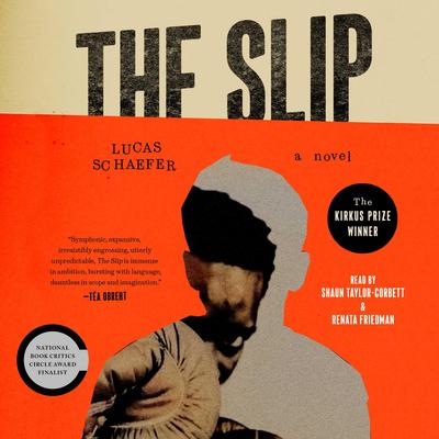 The Slip by Lucas Schaefer audiobook