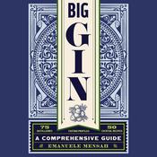 Big Gin by  Emanuele Mensah audiobook