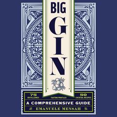 Big Gin by Emanuele Mensah audiobook