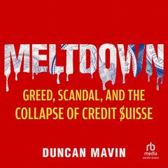 Meltdown by Duncan Mavin audiobook