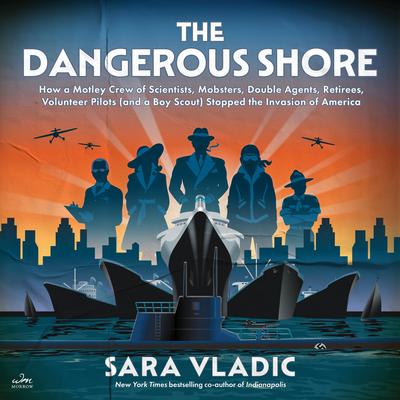 The Dangerous Shore by Sara Vladic audiobook