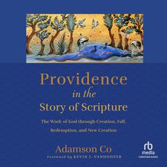 Providence in the Story of Scripture by Adamson Co audiobook