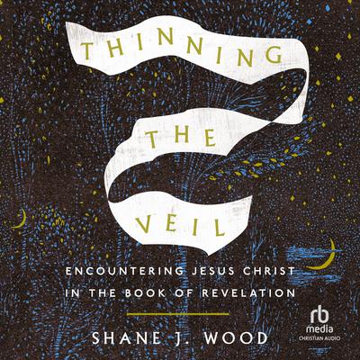 Thinning the Veil by Shane J. Wood audiobook