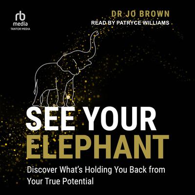See Your Elephant by Jo Brown audiobook