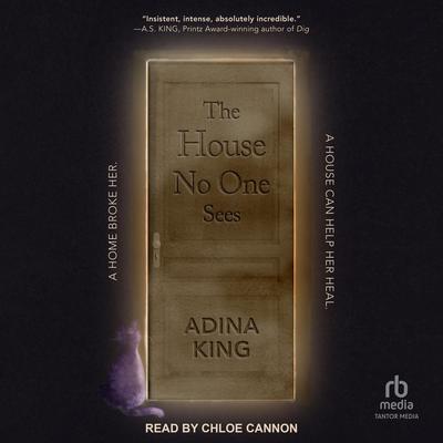 The House No One Sees by Adina King audiobook