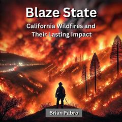 Blaze State by Brian Fabro audiobook